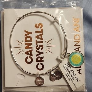 Alex and Ani Silver Bracelet